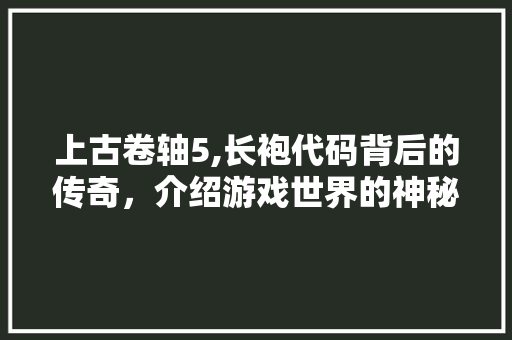 上古卷轴5,长袍代码背后的传奇，介绍游戏世界的神秘面纱