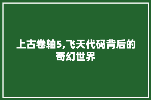 上古卷轴5,飞天代码背后的奇幻世界