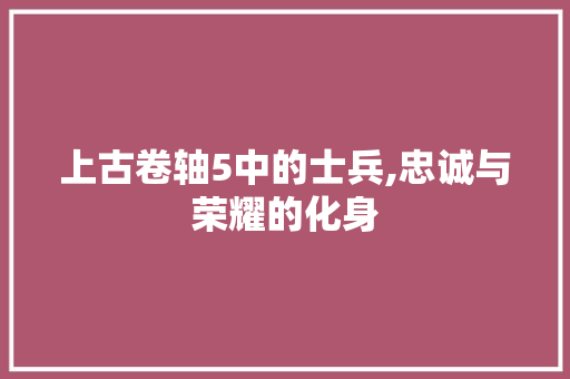 上古卷轴5中的士兵,忠诚与荣耀的化身