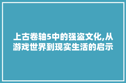 上古卷轴5中的强盗文化,从游戏世界到现实生活的启示