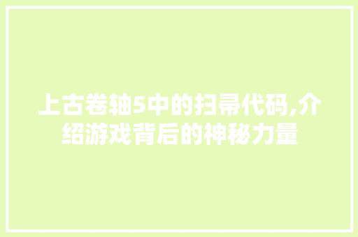 上古卷轴5中的扫帚代码,介绍游戏背后的神秘力量