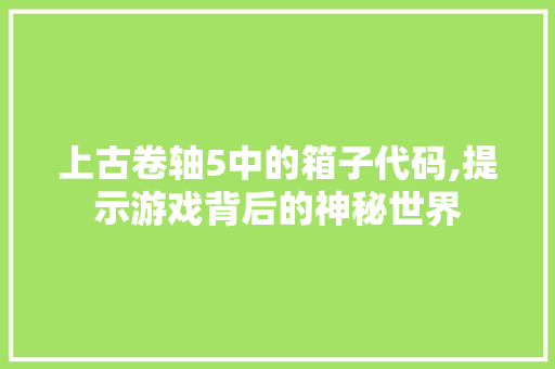 上古卷轴5中的箱子代码,提示游戏背后的神秘世界