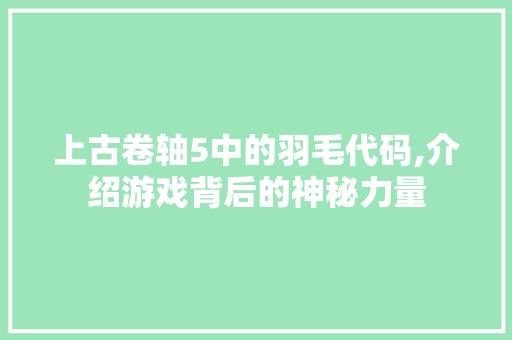 上古卷轴5中的羽毛代码,介绍游戏背后的神秘力量