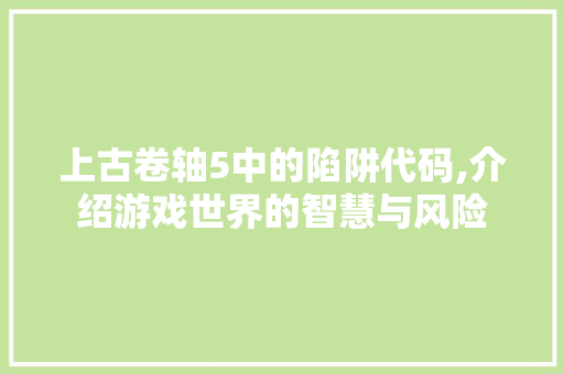 上古卷轴5中的陷阱代码,介绍游戏世界的智慧与风险