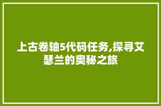 上古卷轴5代码任务,探寻艾瑟兰的奥秘之旅