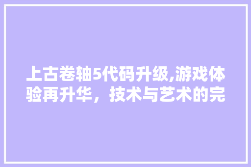 上古卷轴5代码升级,游戏体验再升华，技术与艺术的完美融合