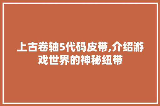 上古卷轴5代码皮带,介绍游戏世界的神秘纽带