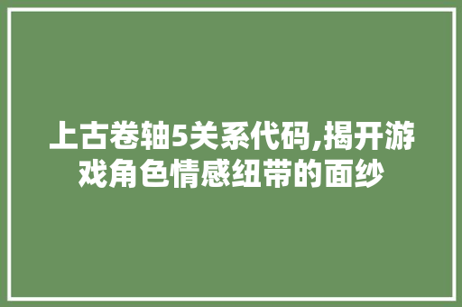 上古卷轴5关系代码,揭开游戏角色情感纽带的面纱