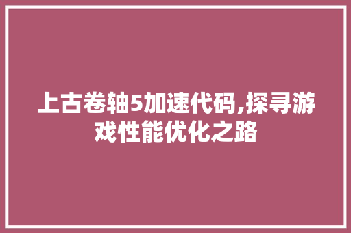 上古卷轴5加速代码,探寻游戏性能优化之路