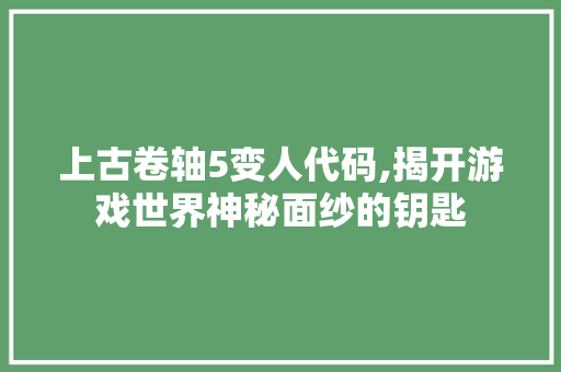 上古卷轴5变人代码,揭开游戏世界神秘面纱的钥匙