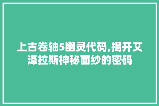 上古卷轴5幽灵代码,揭开艾泽拉斯神秘面纱的密码