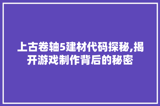 上古卷轴5建材代码探秘,揭开游戏制作背后的秘密