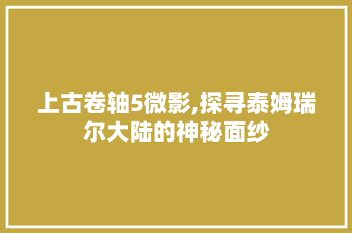 上古卷轴5微影,探寻泰姆瑞尔大陆的神秘面纱