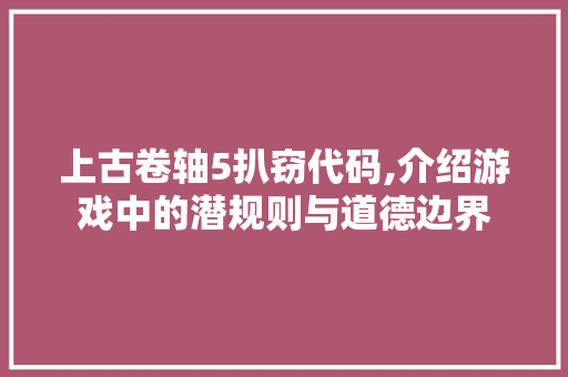 上古卷轴5扒窃代码,介绍游戏中的潜规则与道德边界