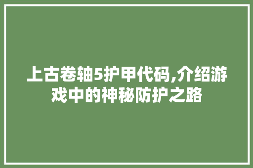 上古卷轴5护甲代码,介绍游戏中的神秘防护之路