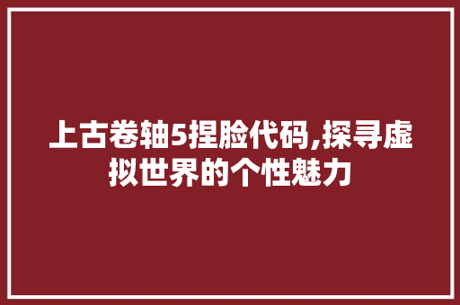 上古卷轴5捏脸代码,探寻虚拟世界的个性魅力