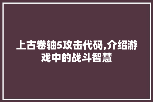 上古卷轴5攻击代码,介绍游戏中的战斗智慧