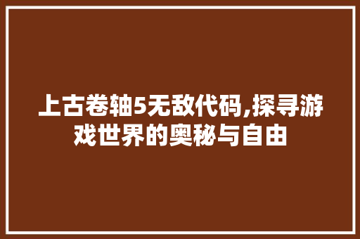 上古卷轴5无敌代码,探寻游戏世界的奥秘与自由