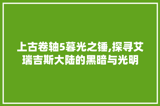 上古卷轴5暮光之锤,探寻艾瑞吉斯大陆的黑暗与光明