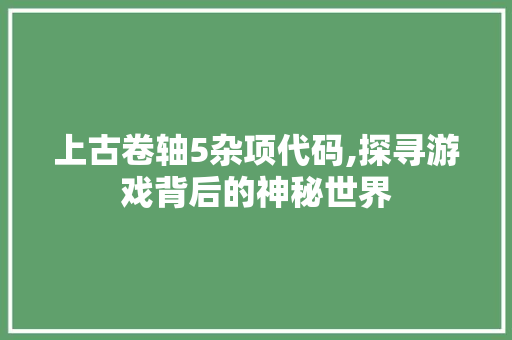 上古卷轴5杂项代码,探寻游戏背后的神秘世界