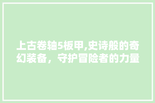 上古卷轴5板甲,史诗般的奇幻装备，守护冒险者的力量之源