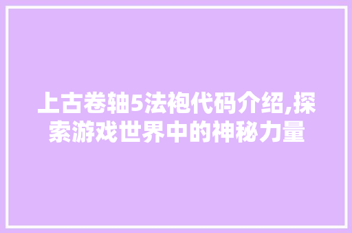 上古卷轴5法袍代码介绍,探索游戏世界中的神秘力量