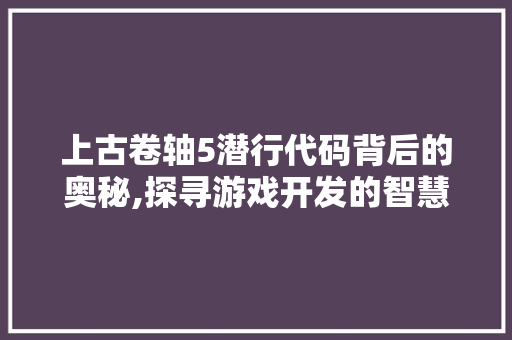 上古卷轴5潜行代码背后的奥秘,探寻游戏开发的智慧之光