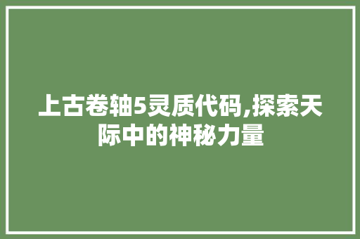 上古卷轴5灵质代码,探索天际中的神秘力量