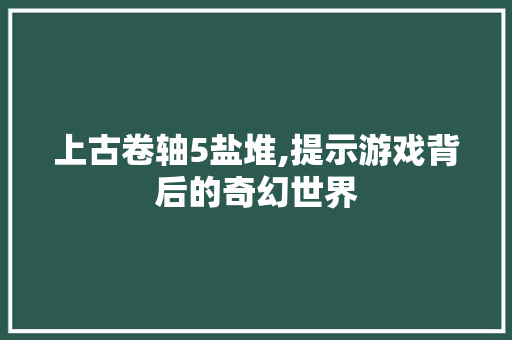 上古卷轴5盐堆,提示游戏背后的奇幻世界