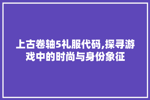 上古卷轴5礼服代码,探寻游戏中的时尚与身份象征