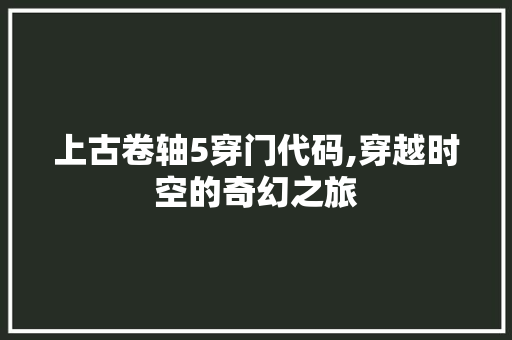 上古卷轴5穿门代码,穿越时空的奇幻之旅