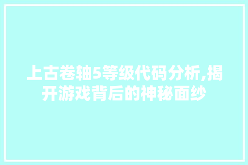 上古卷轴5等级代码分析,揭开游戏背后的神秘面纱