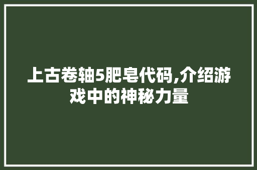 上古卷轴5肥皂代码,介绍游戏中的神秘力量