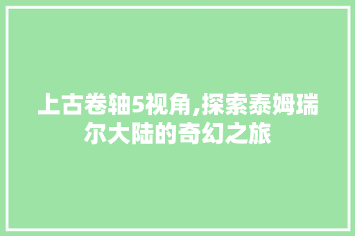 上古卷轴5视角,探索泰姆瑞尔大陆的奇幻之旅