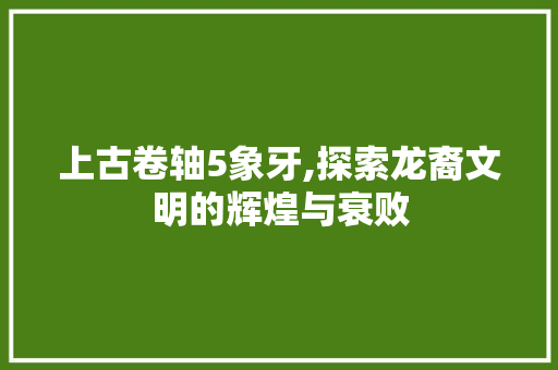 上古卷轴5象牙,探索龙裔文明的辉煌与衰败