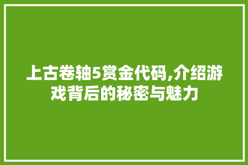 上古卷轴5赏金代码,介绍游戏背后的秘密与魅力