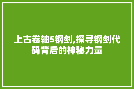 上古卷轴5钢剑,探寻钢剑代码背后的神秘力量