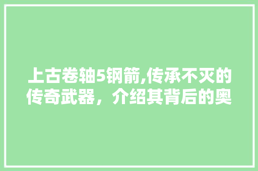 上古卷轴5钢箭,传承不灭的传奇武器，介绍其背后的奥秘