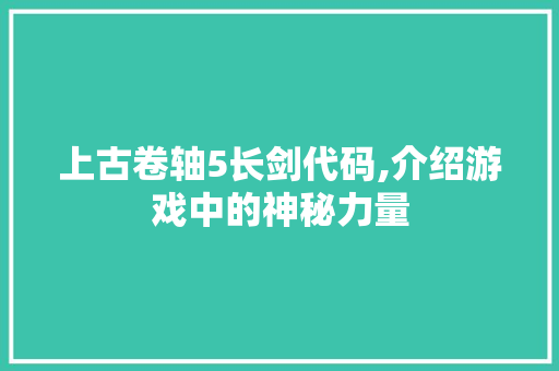 上古卷轴5长剑代码,介绍游戏中的神秘力量