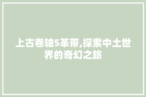 上古卷轴5革带,探索中土世界的奇幻之旅