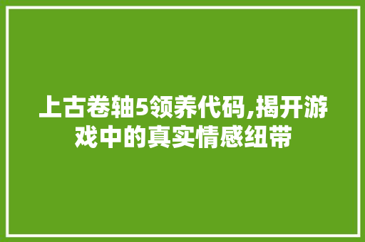 上古卷轴5领养代码,揭开游戏中的真实情感纽带