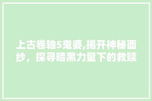 上古卷轴5鬼婆,揭开神秘面纱，探寻暗黑力量下的救赎之路