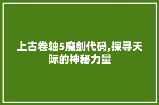 上古卷轴5魔剑代码,探寻天际的神秘力量