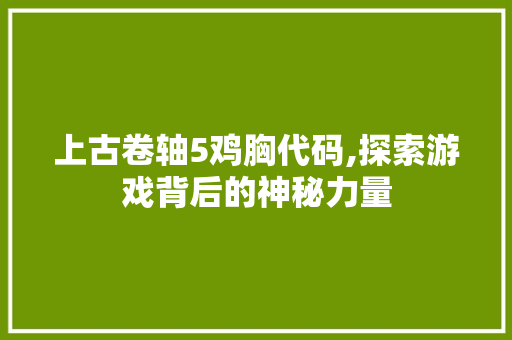 上古卷轴5鸡胸代码,探索游戏背后的神秘力量