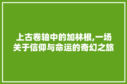 上古卷轴中的加林根,一场关于信仰与命运的奇幻之旅