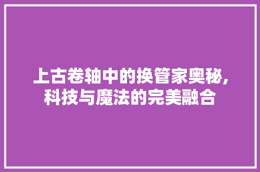 上古卷轴中的换管家奥秘,科技与魔法的完美融合