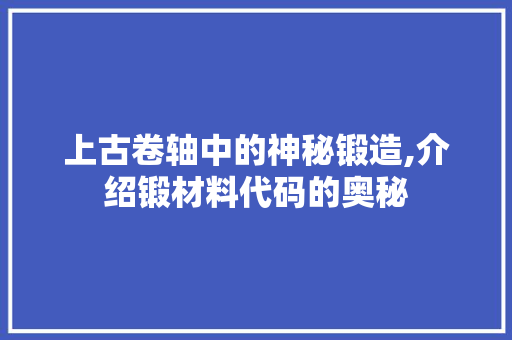 上古卷轴中的神秘锻造,介绍锻材料代码的奥秘