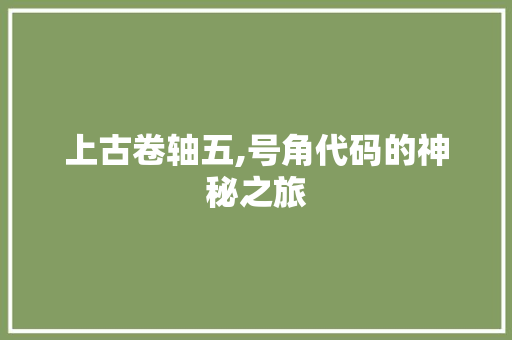 上古卷轴五,号角代码的神秘之旅