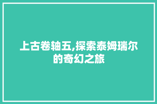 上古卷轴五,探索泰姆瑞尔的奇幻之旅