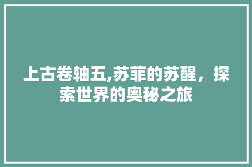 上古卷轴五,苏菲的苏醒，探索世界的奥秘之旅